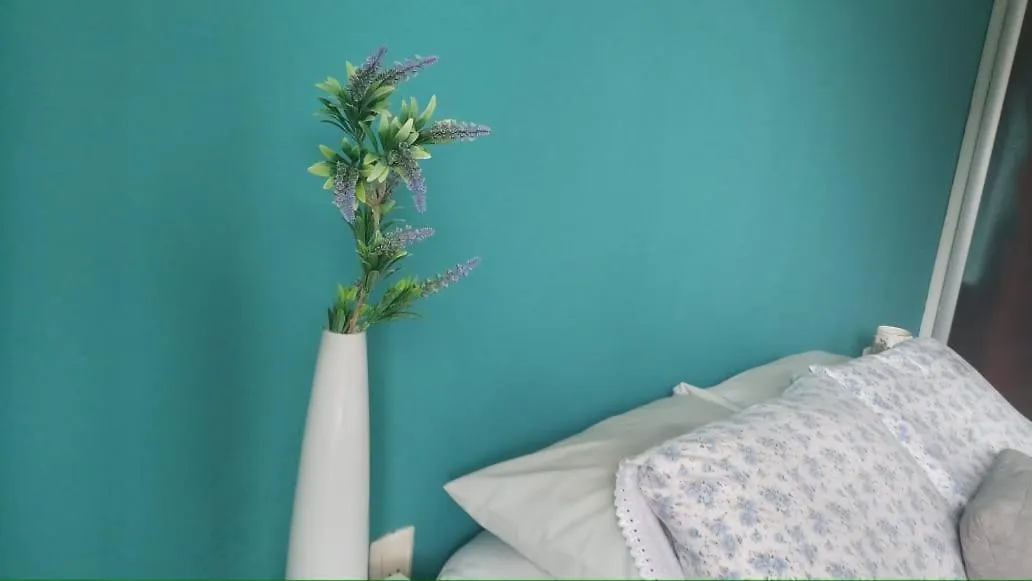 Insta Hostel Floripa Florianópolis Brasil
